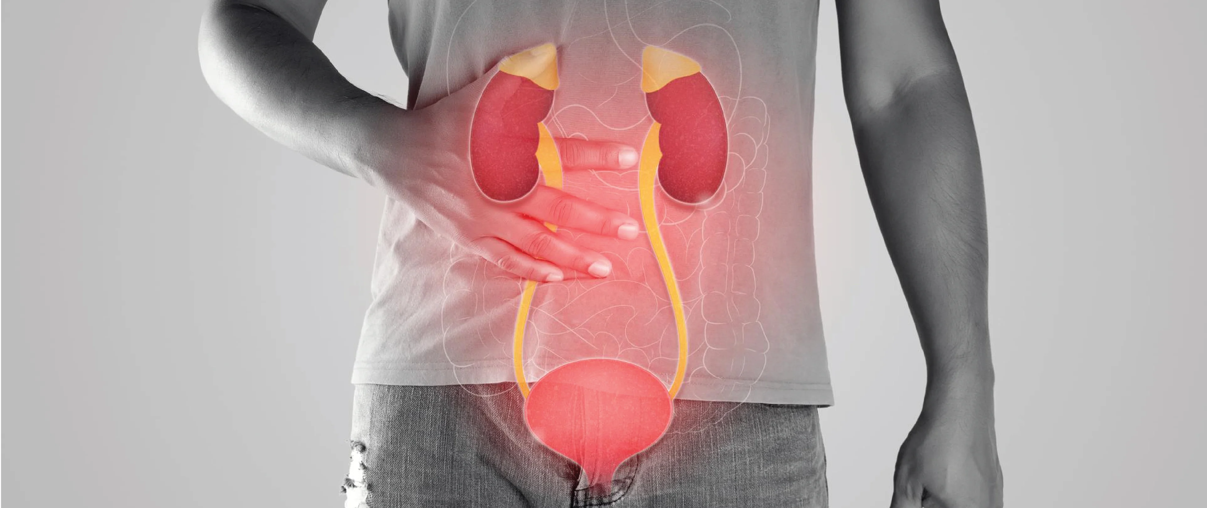 Bladder Treatment